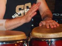 percussion_plays